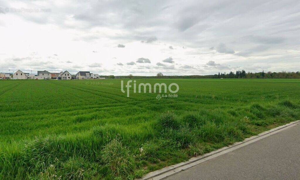 Terrain à HABSHEIM