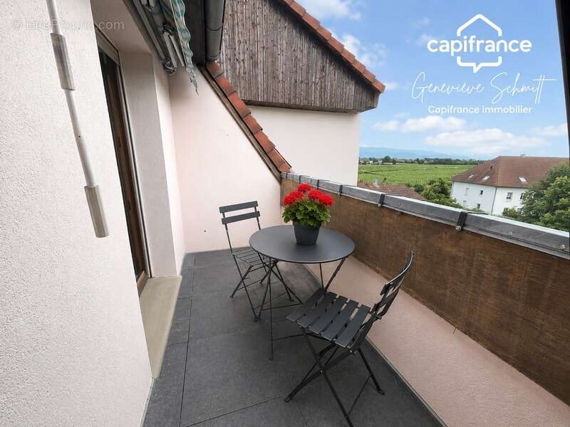 Appartement à RIBEAUVILLE