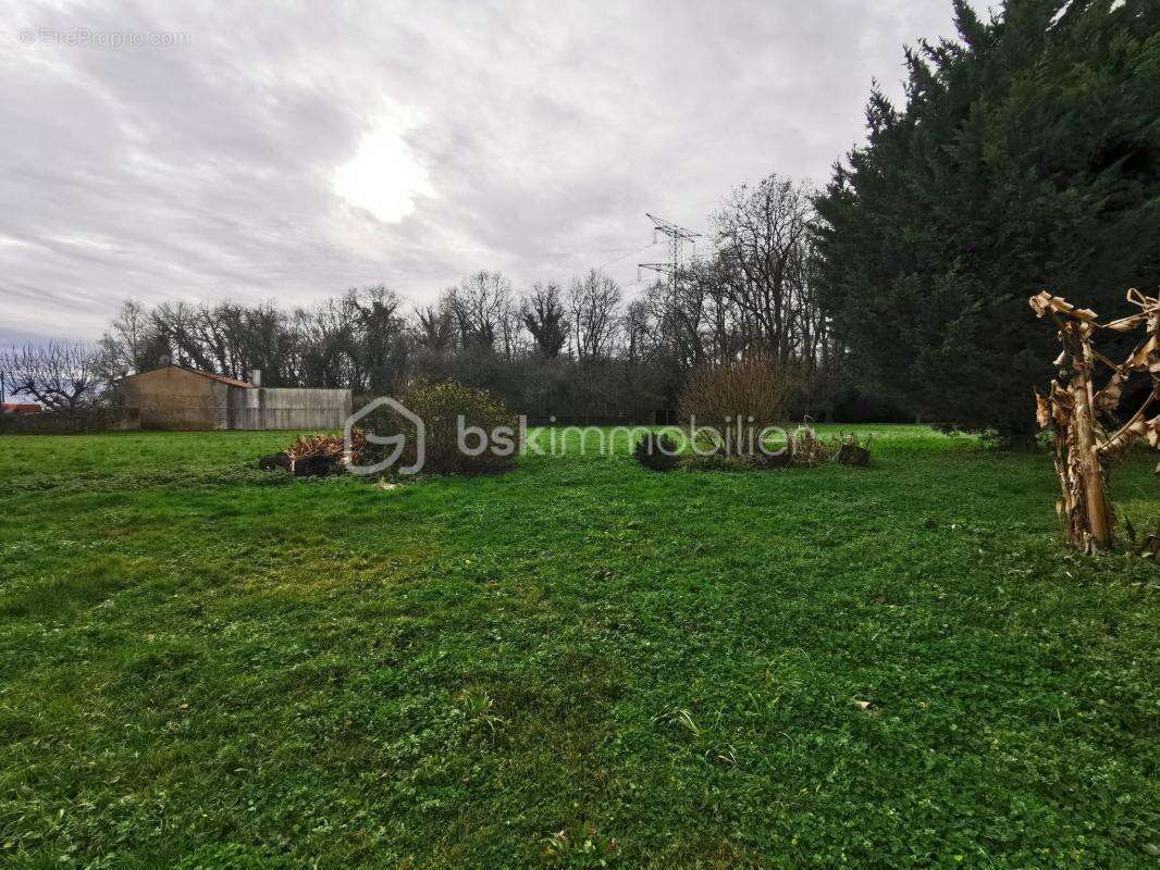 Maison - gîtes de charme a vendre - photo 6