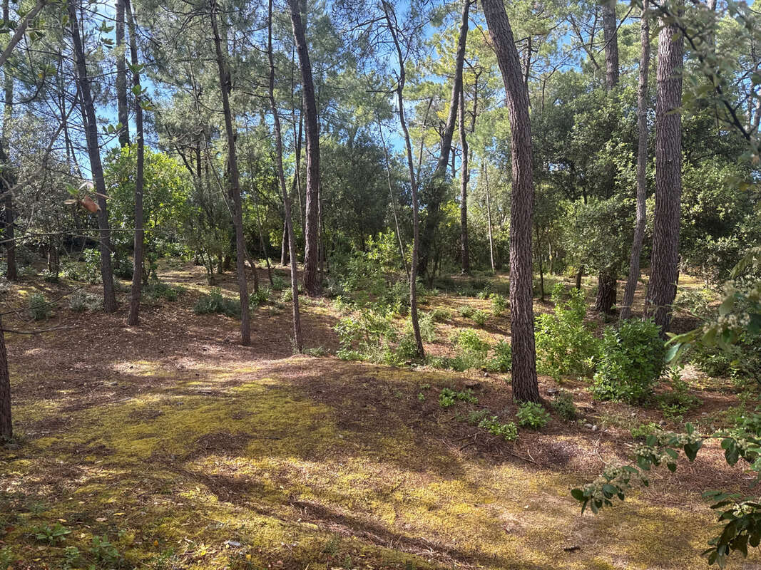 Terrain à SAINT-JEAN-DE-MONTS