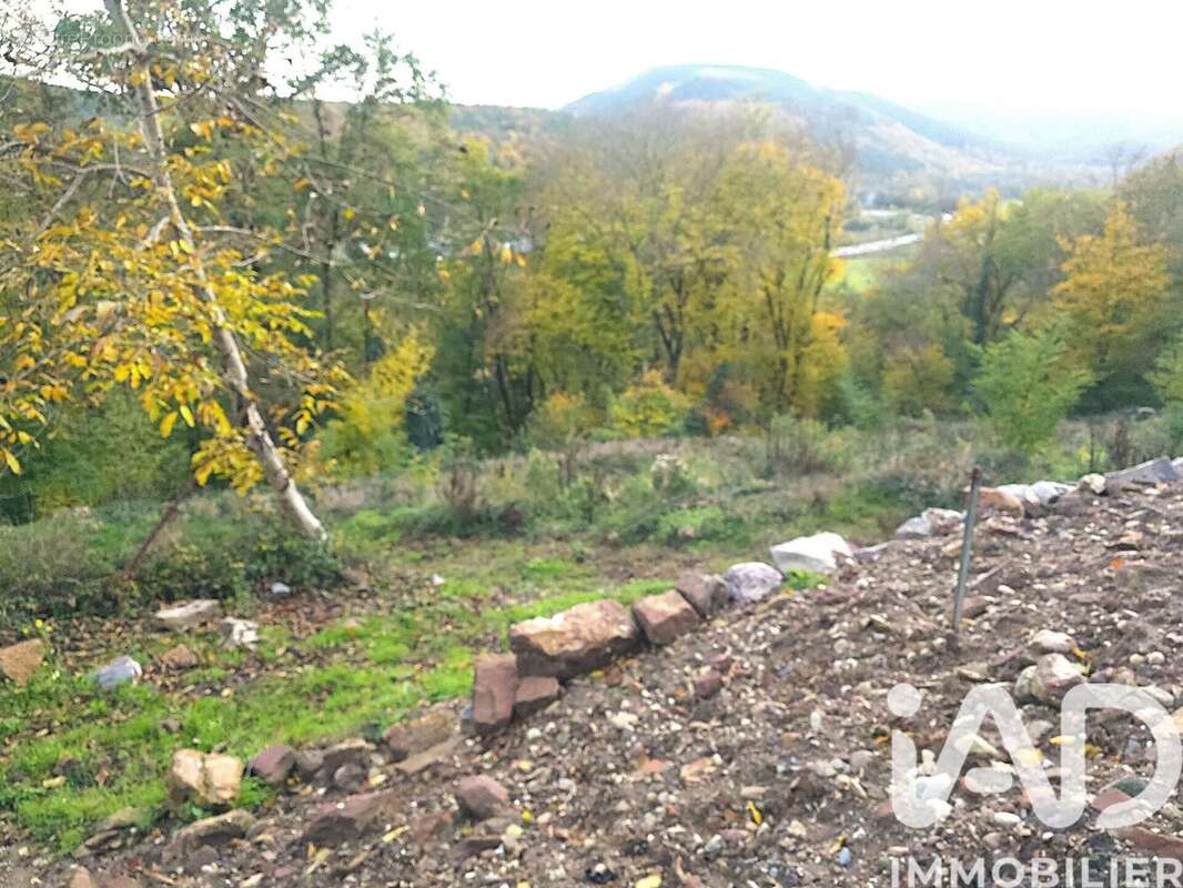 Photo 3 - Terrain à HEILIGENBERG