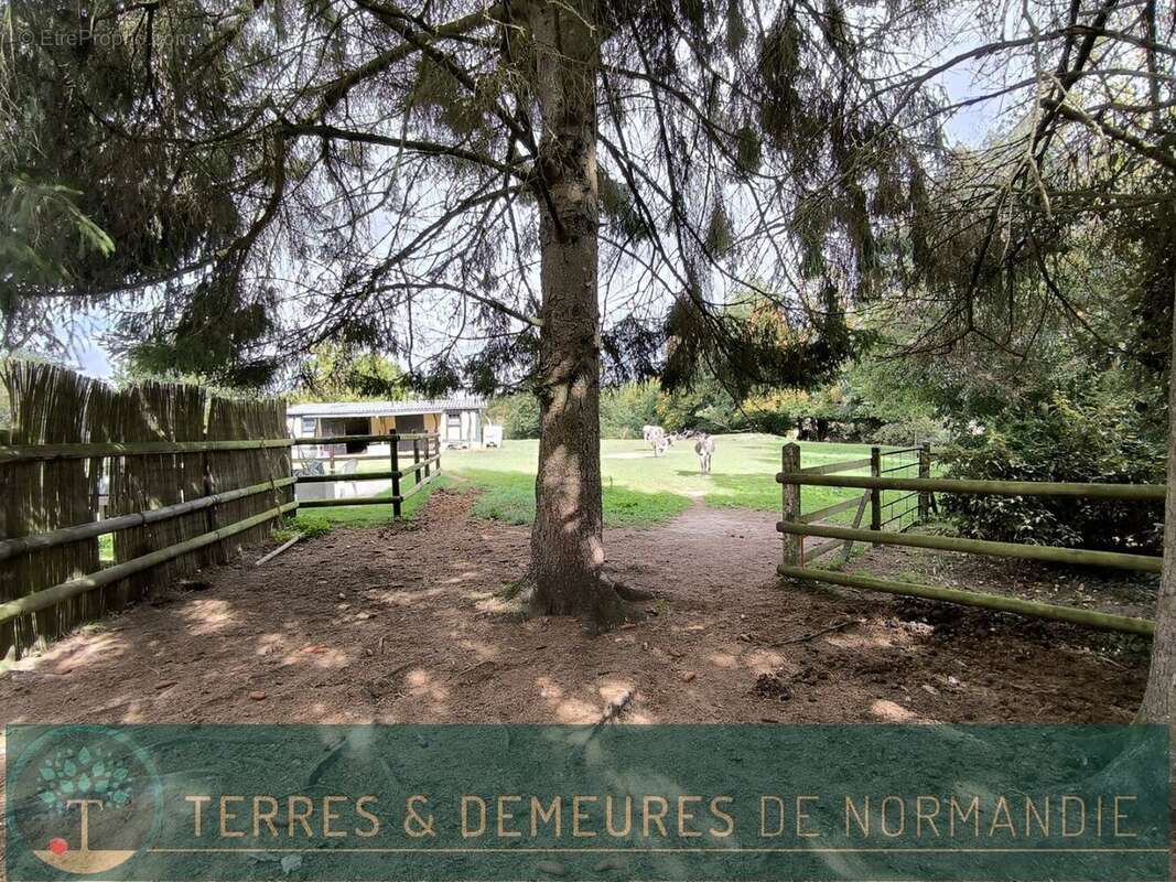 Maison à BOURG-ACHARD