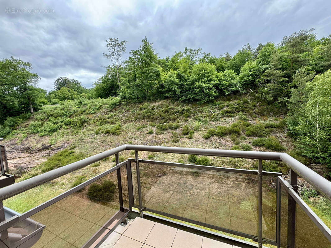 Appartement à WINGEN-SUR-MODER