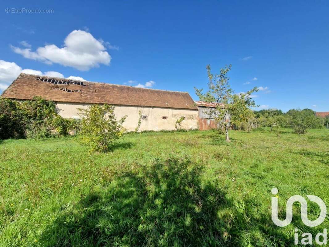 Photo 2 - Maison à BRAY-EN-VAL