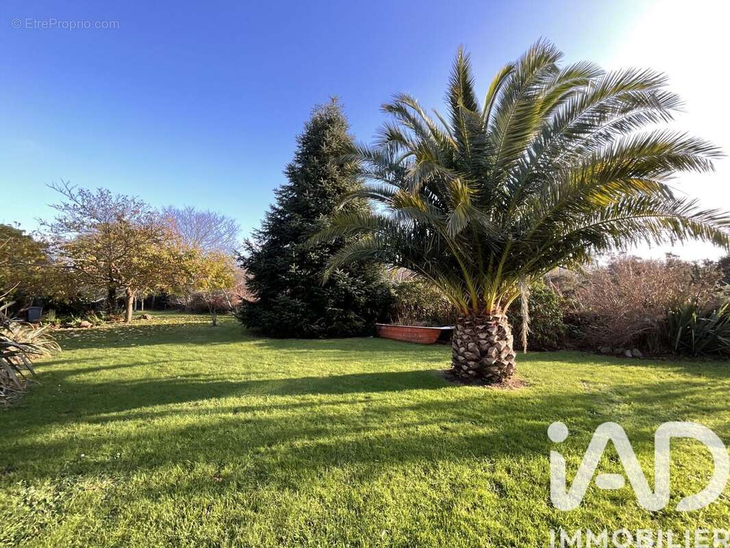 Photo 9 - Maison à PLEUMEUR-BODOU