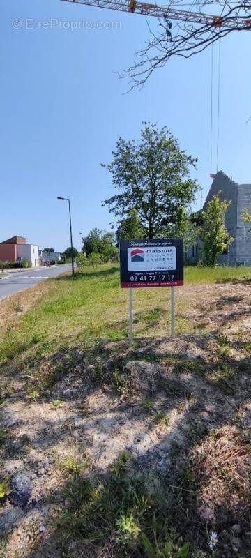 Terrain à LA MEMBROLLE-SUR-LONGUENEE