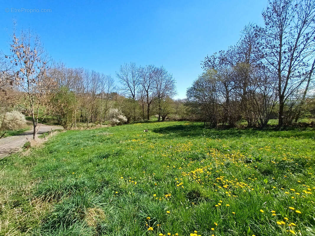 Terrain à CHOMELIX