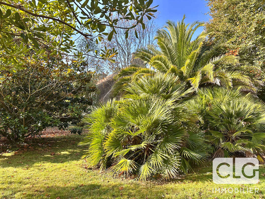 Maison à PONT-L&#039;ABBE