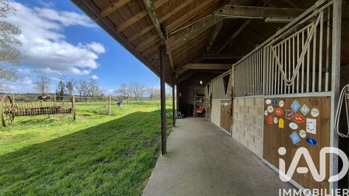 Photo 5 - Maison à NOYALO