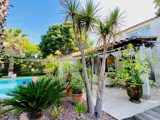 Maison à MONTPELLIER