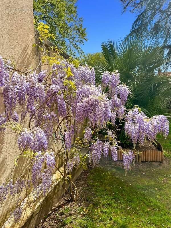 Maison à CHATELLERAULT