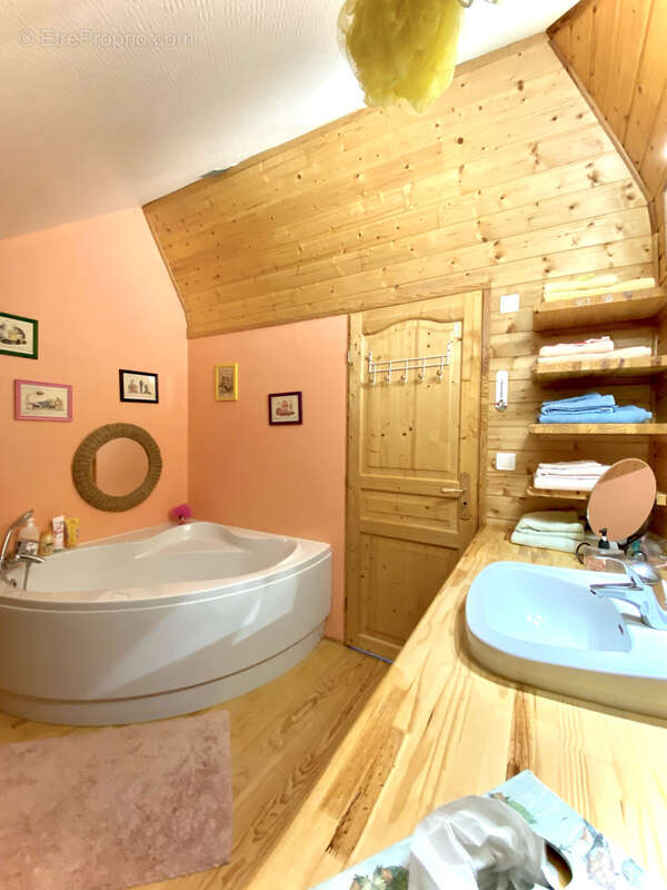 Maison à CREUZIER-LE-VIEUX