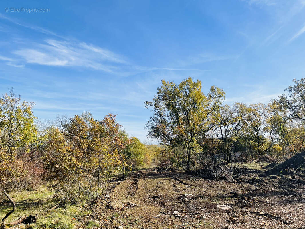 Terrain à SAINT-CERNIN-DE-LARCHE