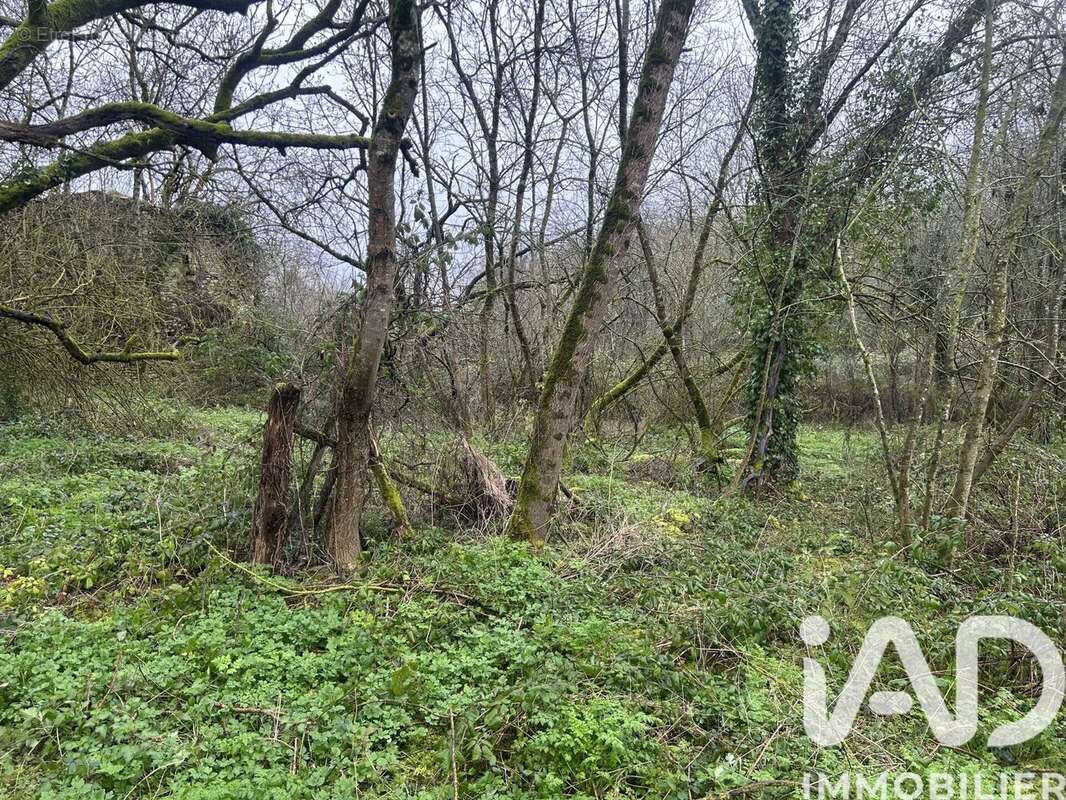 Photo 8 - Terrain à MAINE-DE-BOIXE