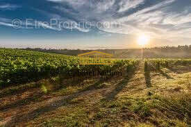 Maison à VIC-LA-GARDIOLE