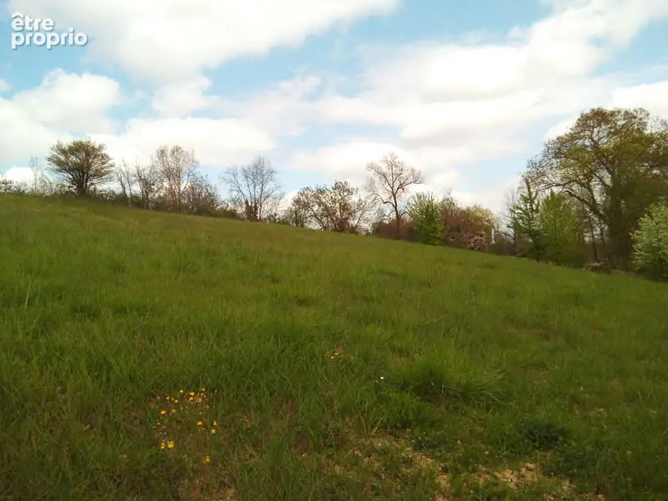 Terrain constructible Ceran(32500)2524m² - photo 5