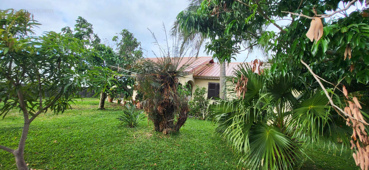 Maison à SAINTE-MARIE
