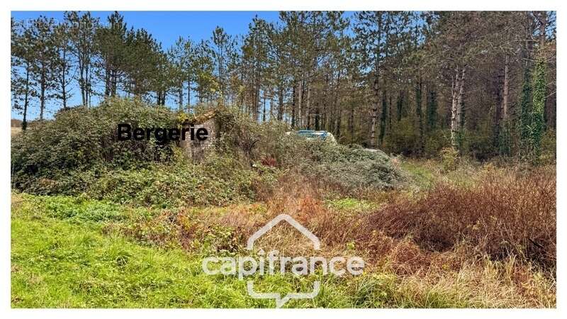 Maison à MONFLANQUIN