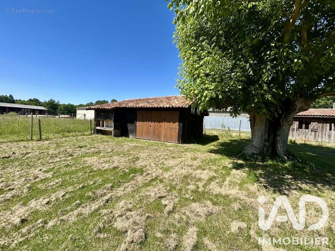 Photo 4 - Maison à VENDAYS-MONTALIVET