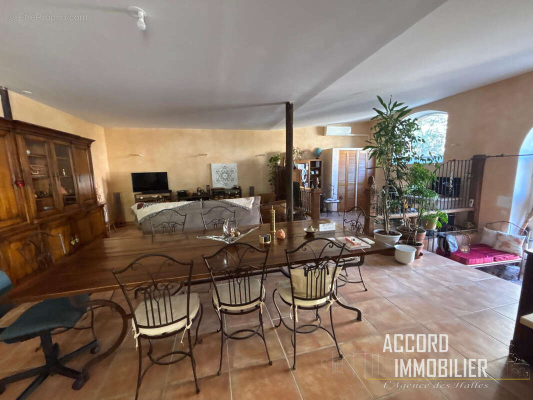 Montady !! Maison de 248m2 composée de 2 appartements avec extérieurs - photo 13