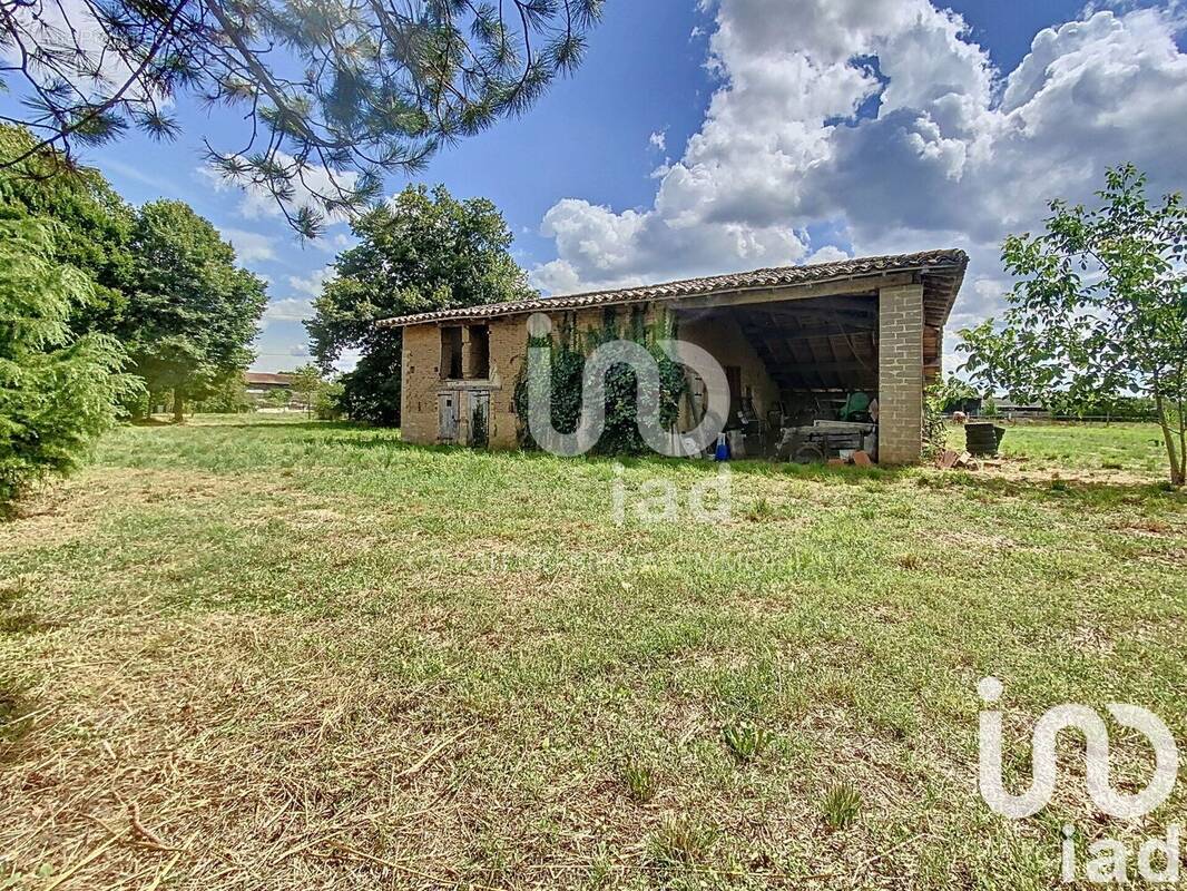 Photo 1 - Maison à NEGREPELISSE