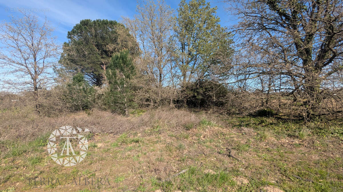 Terrain à PALAU-DEL-VIDRE