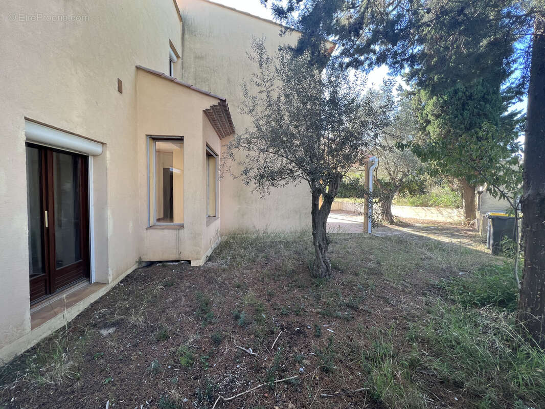 Cournonterral   Villa d'Architecte T5 (135 m2) + Dépendance (65 m2) - photo 4
