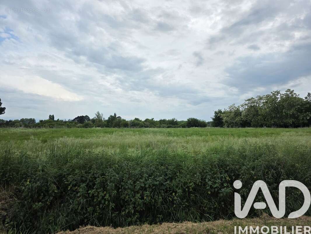 Photo 2 - Terrain à GAILLAC
