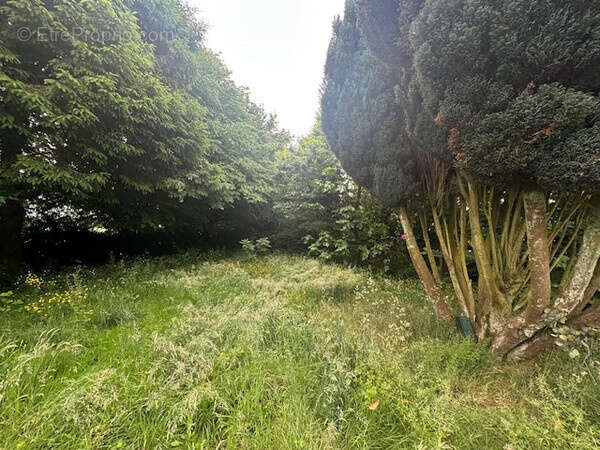 Maison à BRADIANCOURT