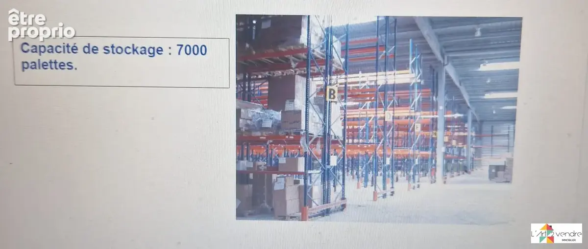 Commerce 11 320 m² à vendre à Mormant-Sur-Vernisson (45700) - photo 2