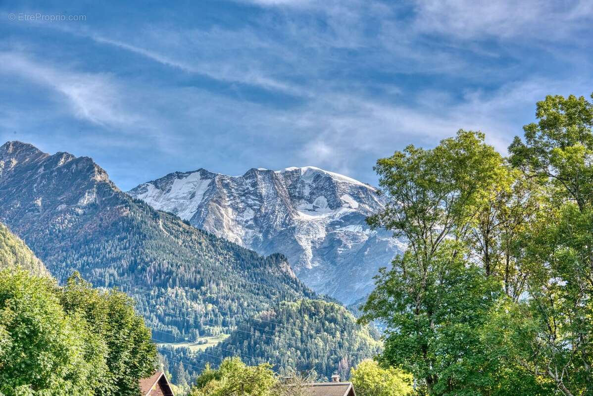 Terrain 1075 m² à Saint-Gervais-Les-Bains  - photo 3