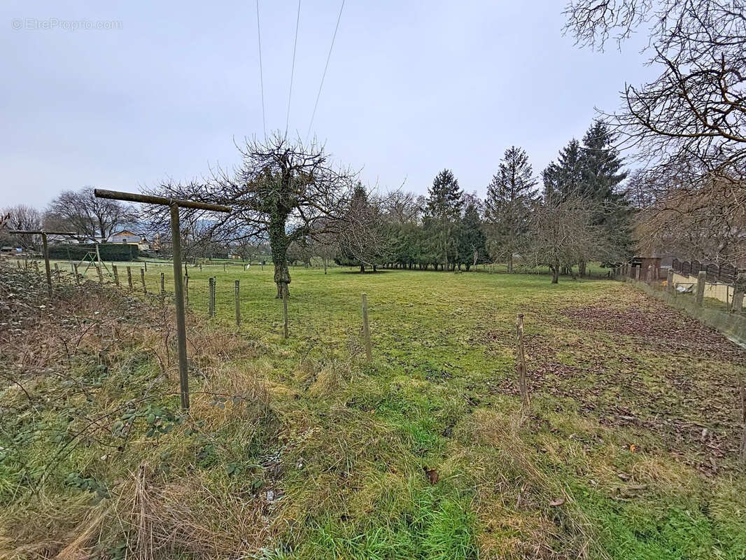 Maison à FECHE-L'EGLISE