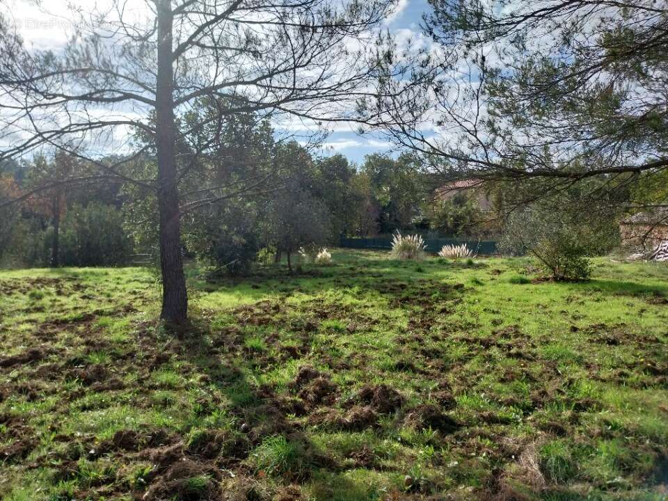 Terrain à SAINT-RAPHAEL