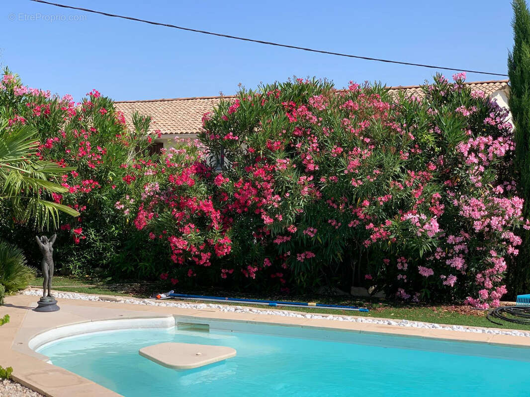 Maison à SAINT-MAXIMIN