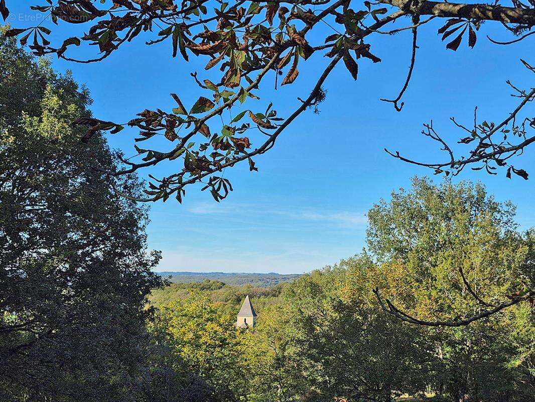 Terrain à LA CASSAGNE