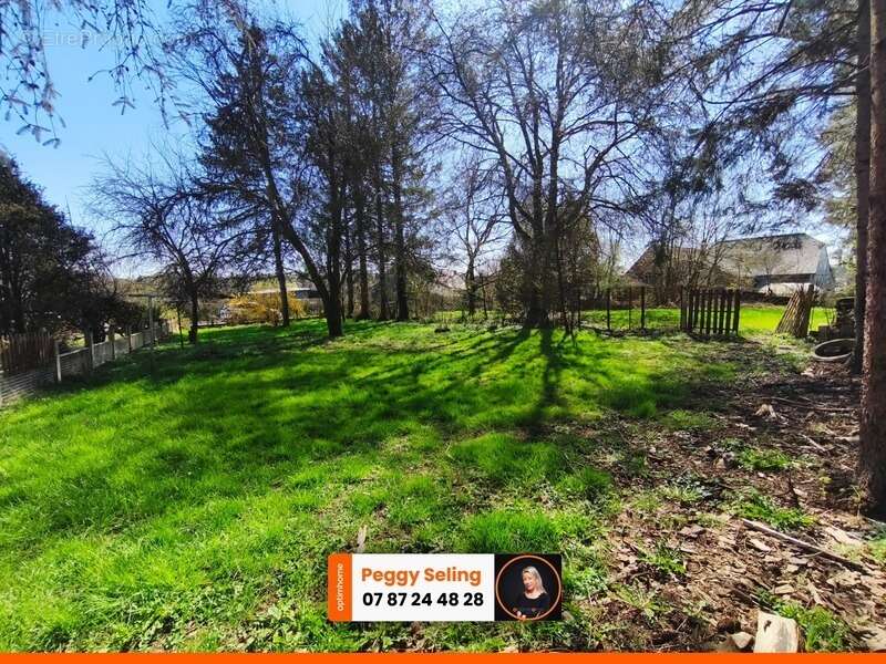 Maison à MONDREPUIS