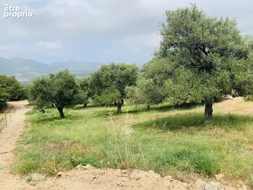 Terrain à batir . - photo 8