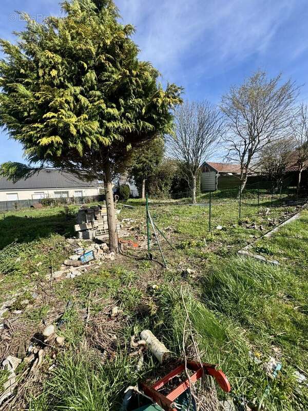 Terrain à MONTVILLE