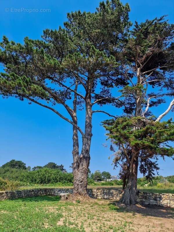 Maison à PLOUGRESCANT