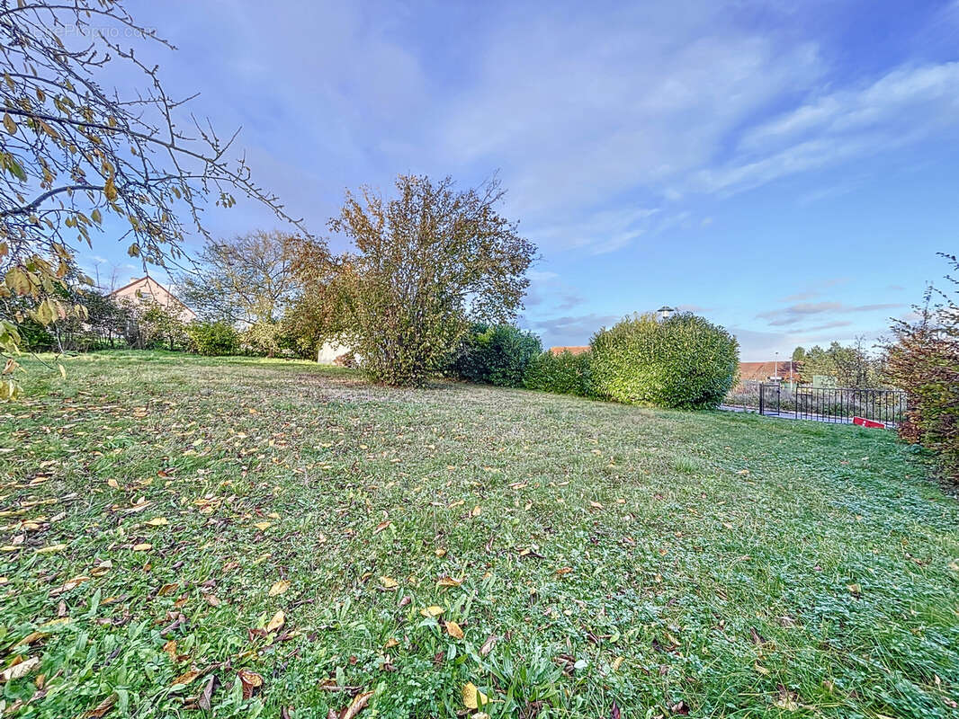 Terrain à GUIGNICOURT