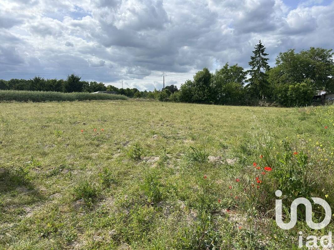 Photo 1 - Terrain à SAINT-HILAIRE-AU-TEMPLE