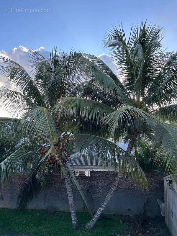 Appartement à LES TROIS-ILETS