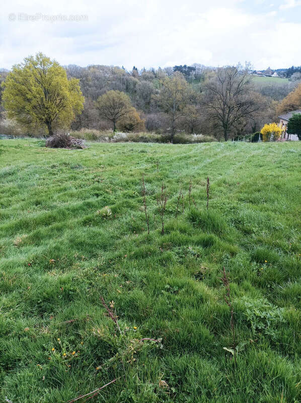 Terrain à CUSSET