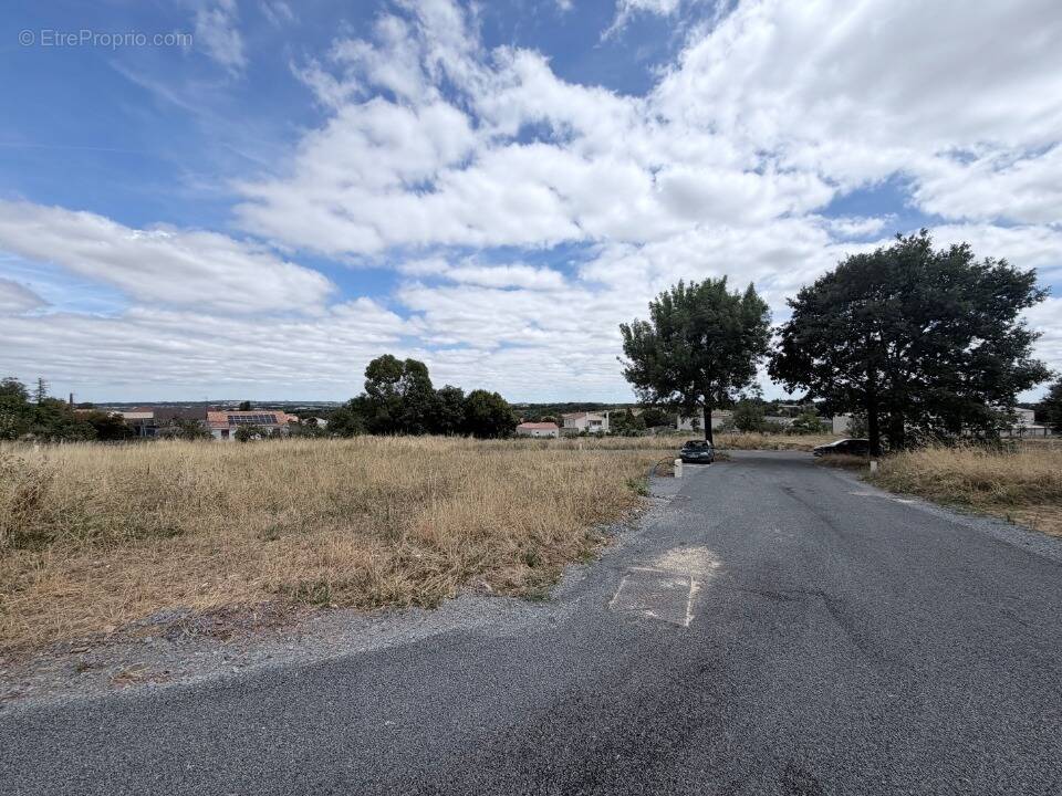 Photo Terrain à Beaupreau au prix de 57 500€