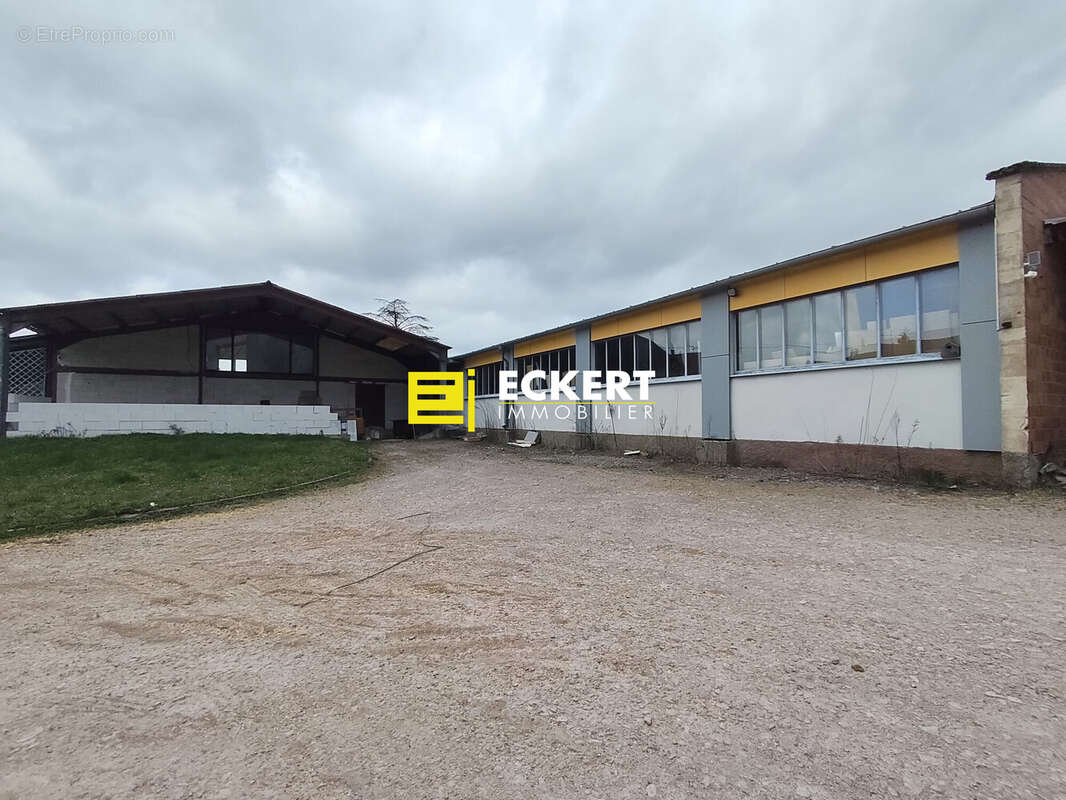 Appartement à ODRATZHEIM