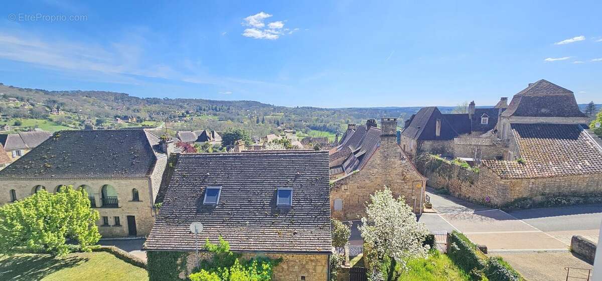 Rare à Domme  Maison de caractère avec 2 appartements, jardin, cave et grand garage - photo 21