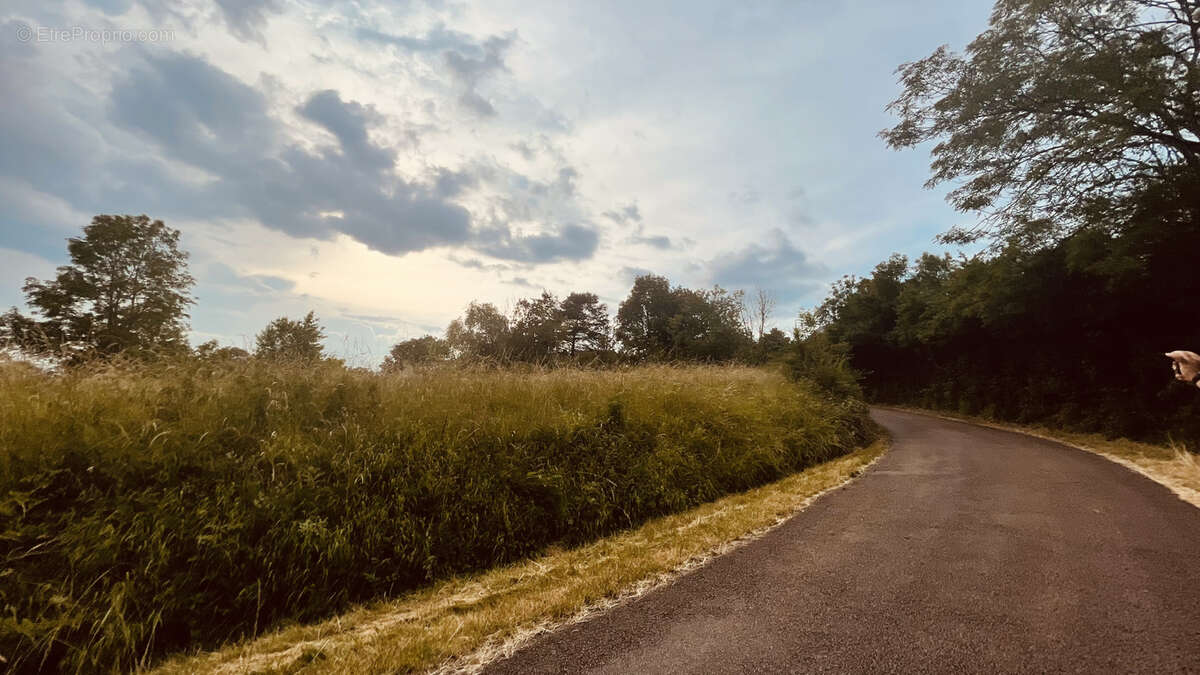 Terrain de loisirs de 2880 m2 avec vue dégagée sur la nature 18 000 € - photo 9