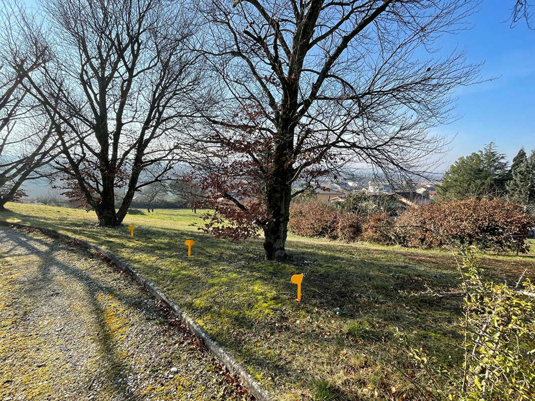 Terrain à TIGNIEU-JAMEYZIEU