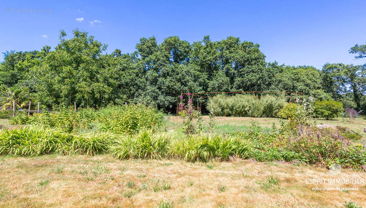 Maison à RIEC-SUR-BELON