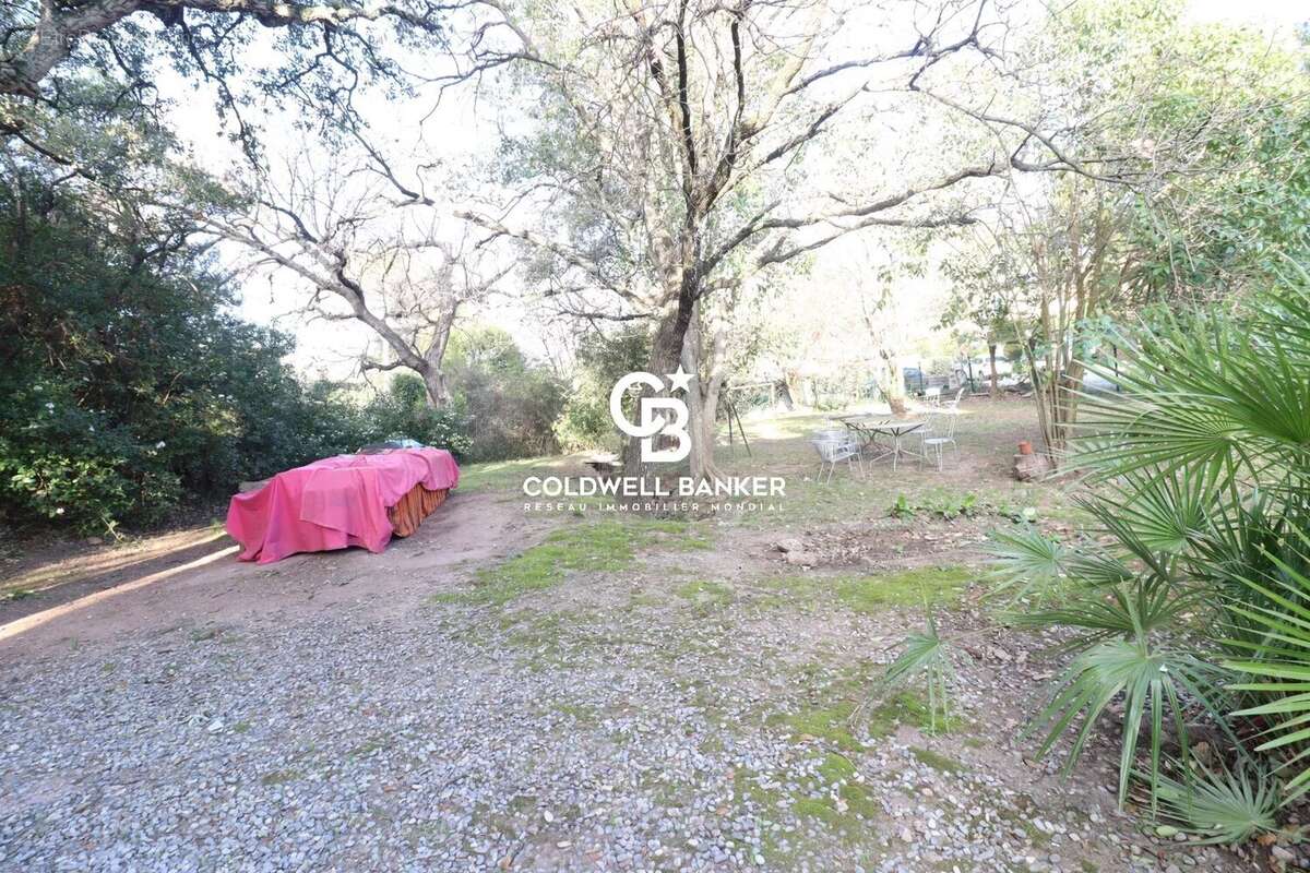 Commerce à SAINT-RAPHAEL